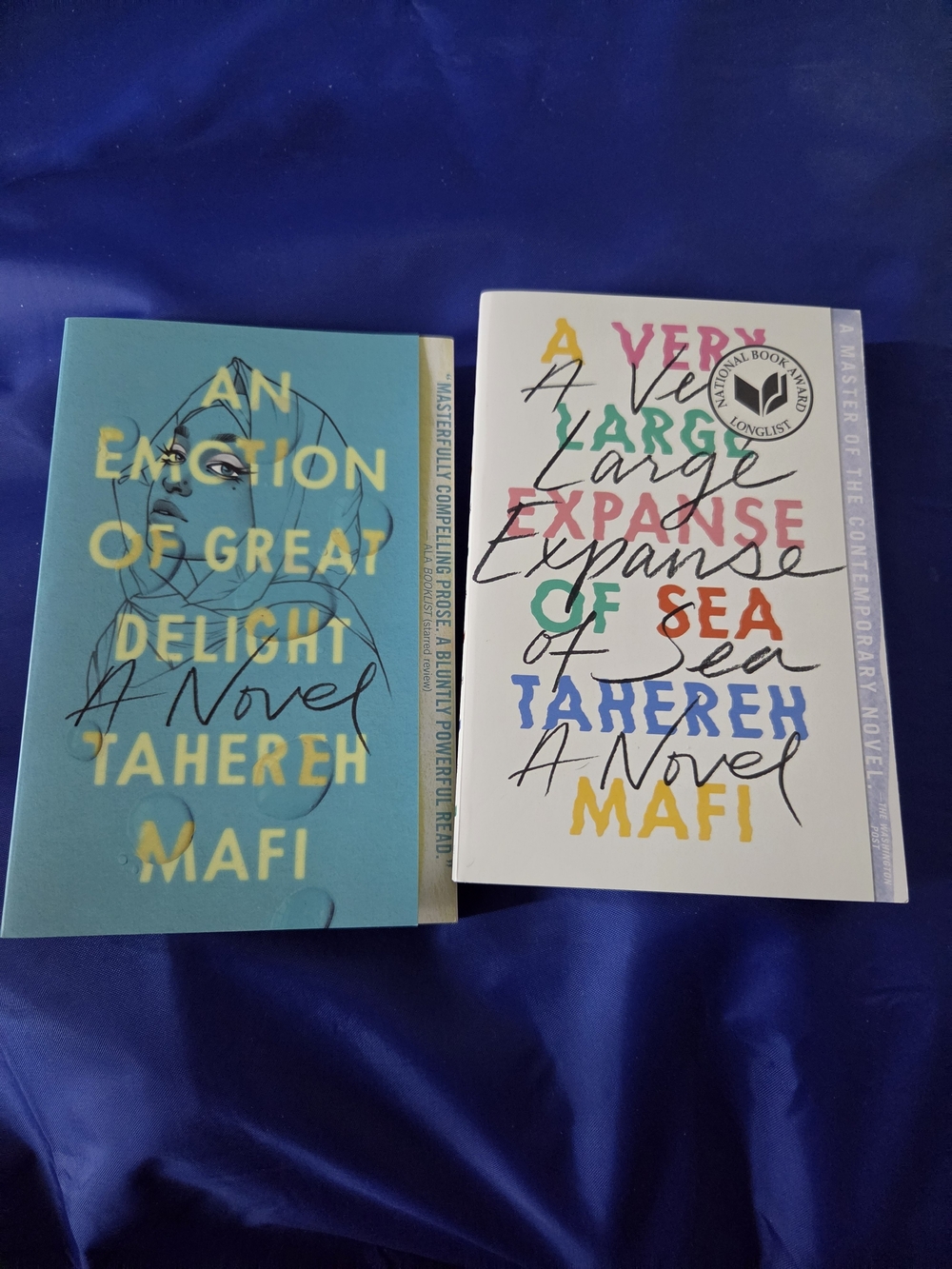 Paperback Novel Set - Blue & White Covers